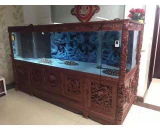 魚缸搬運(yùn)
